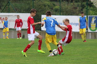 乐鱼体育在线登陆-国乒一哥德国杯首战即惊艳，连多特教练都成粉丝！